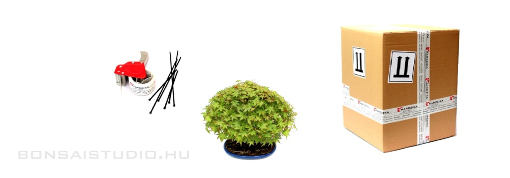 bonsai, vasarlas, rendeles csomagolas, szallitas, hazhozszallitas bonsai szallitas hazhozszallitas rendeles
